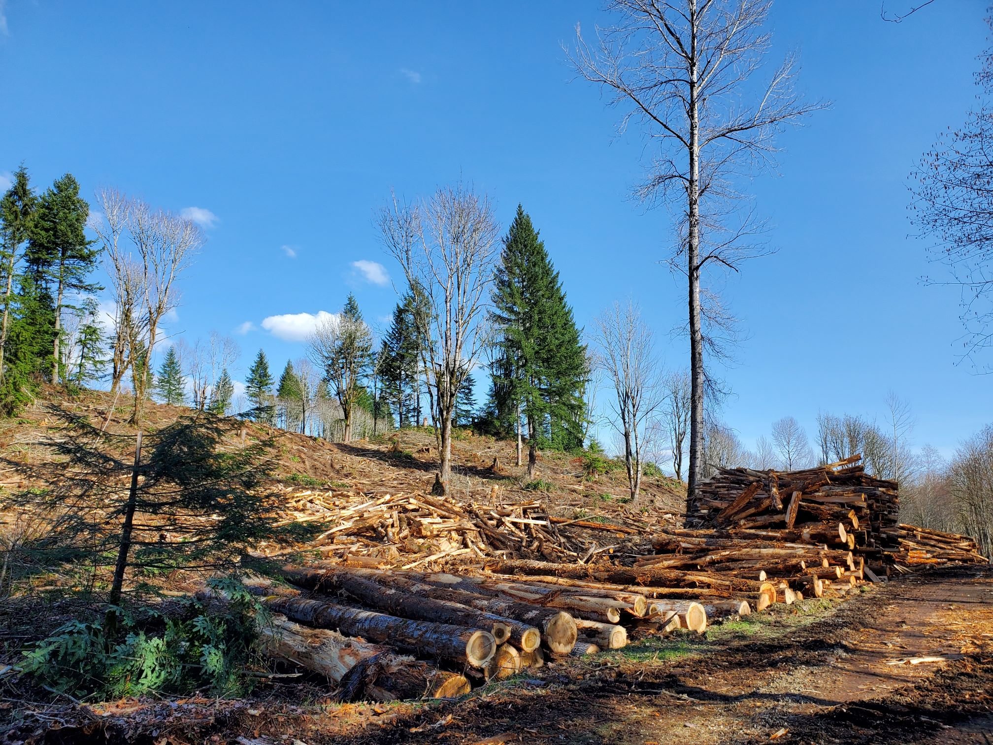 West+Carey+Unit+1+Landing+++